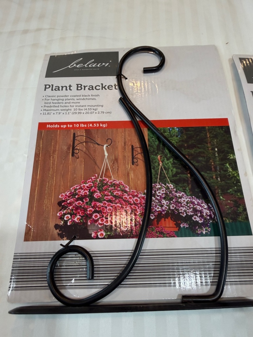 Black Plant Bracket - Decorative Outside Wall Hook for Hanging Baskets - Picture 4 of 5